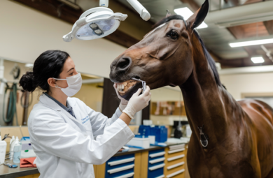 Afwikkelen nalatenschap - De Kleijne & Janssen3
